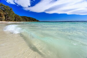 靠近海滩、黑沙