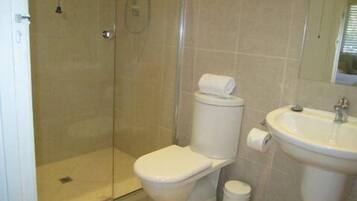 Une salle de bain avec des toilettes, un lavabo et une douche.