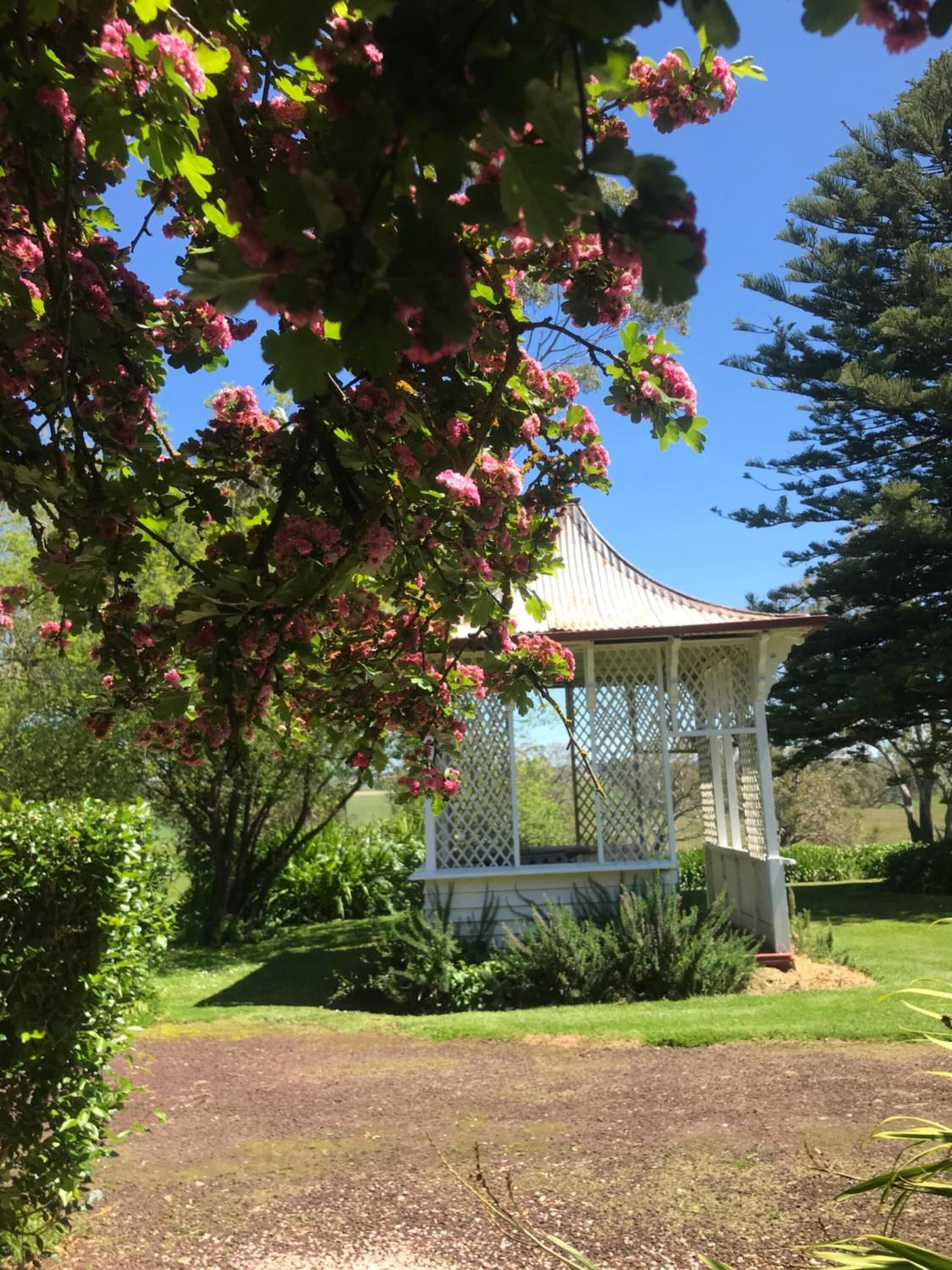 A gazebo with a lattice roof, surrounded by lush greenery and a clear blue sky.