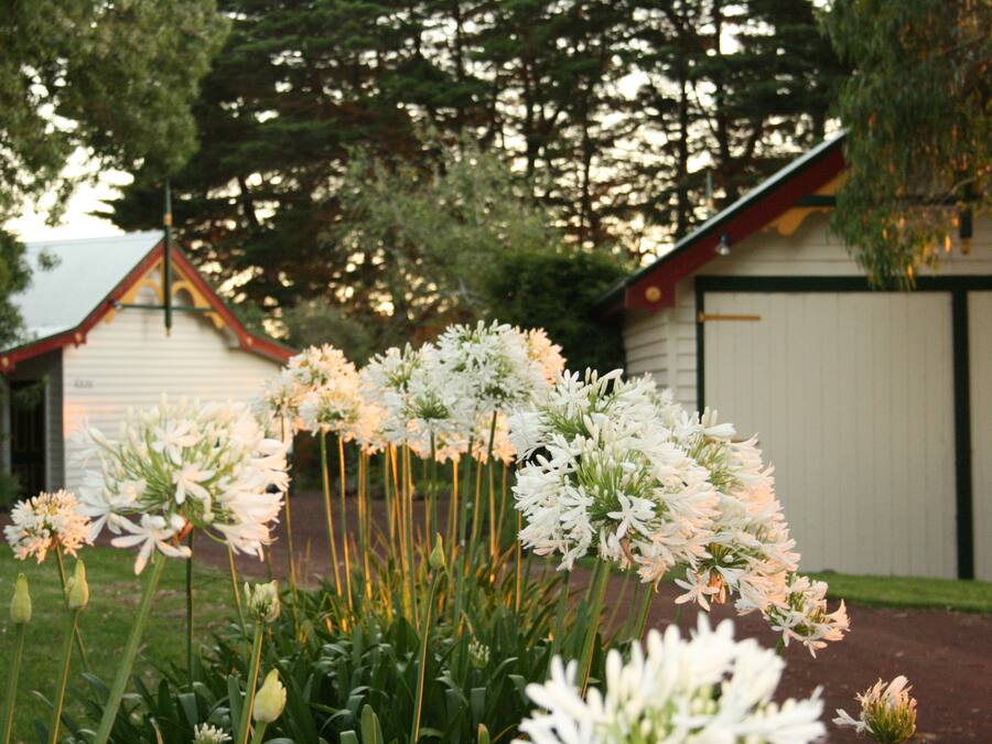 Strykjärn/strykbräda, gratis barnsängar och sängkläder