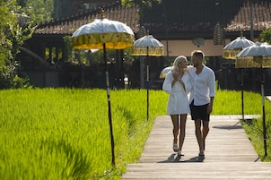 A pathway through a lush green field with traditional buildings in the background.
