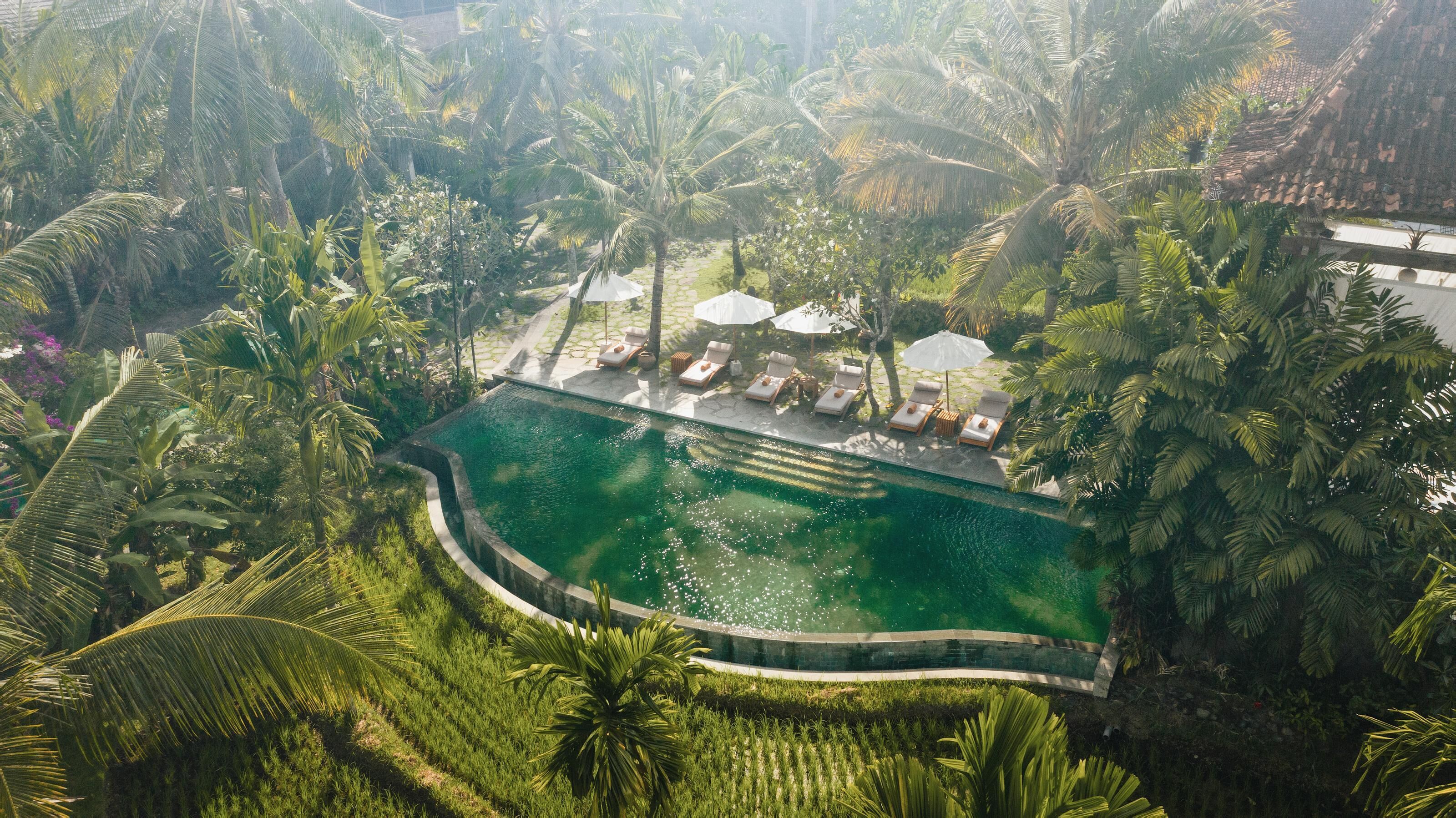 Foto - Alaya Resort Ubud