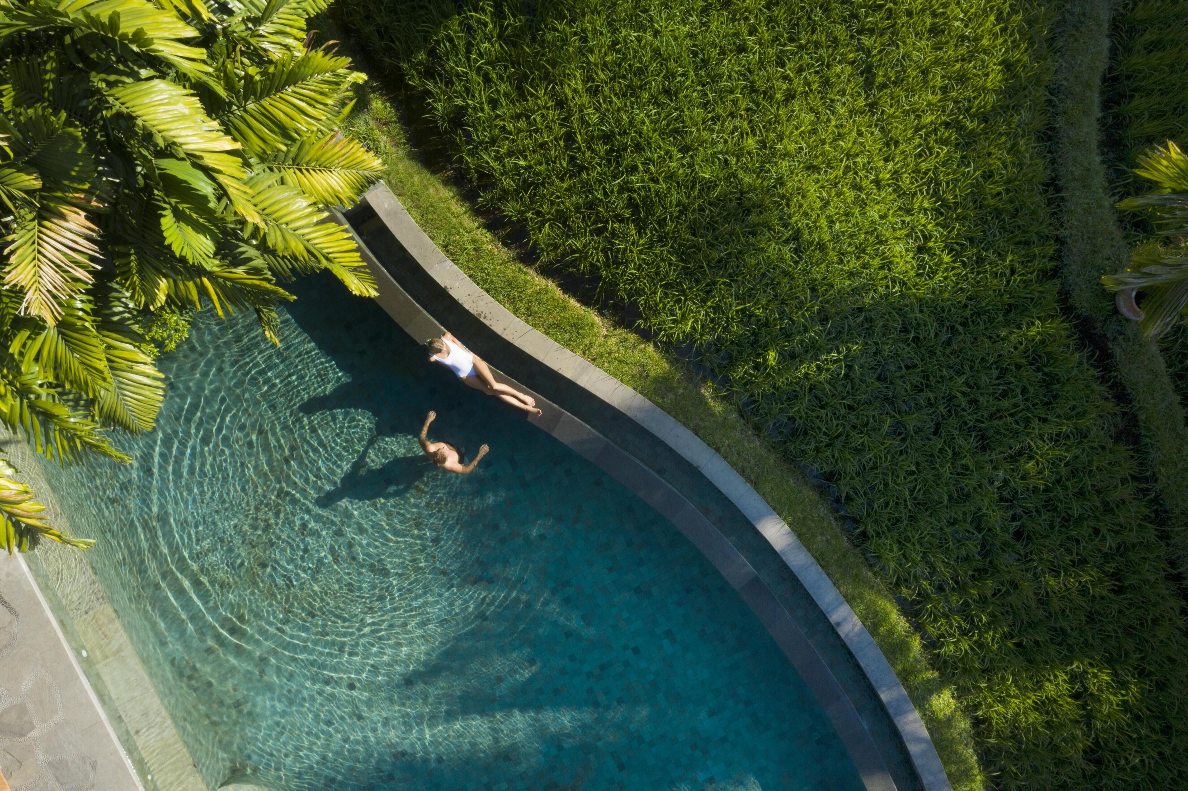 Vista aérea de una piscina con agua cristalina, rodeada de exuberante vegetación y un borde curvo.