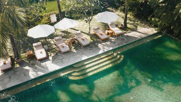 An aerial view of a poolside area with lounge chairs and umbrellas, surrounded by lush greenery.