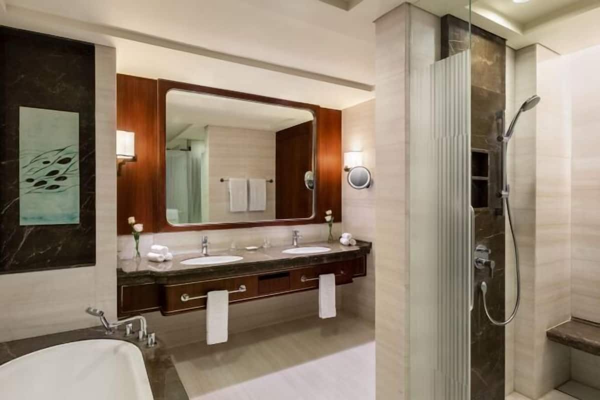Separate tub and shower, free toiletries, hair dryer, bathrobes