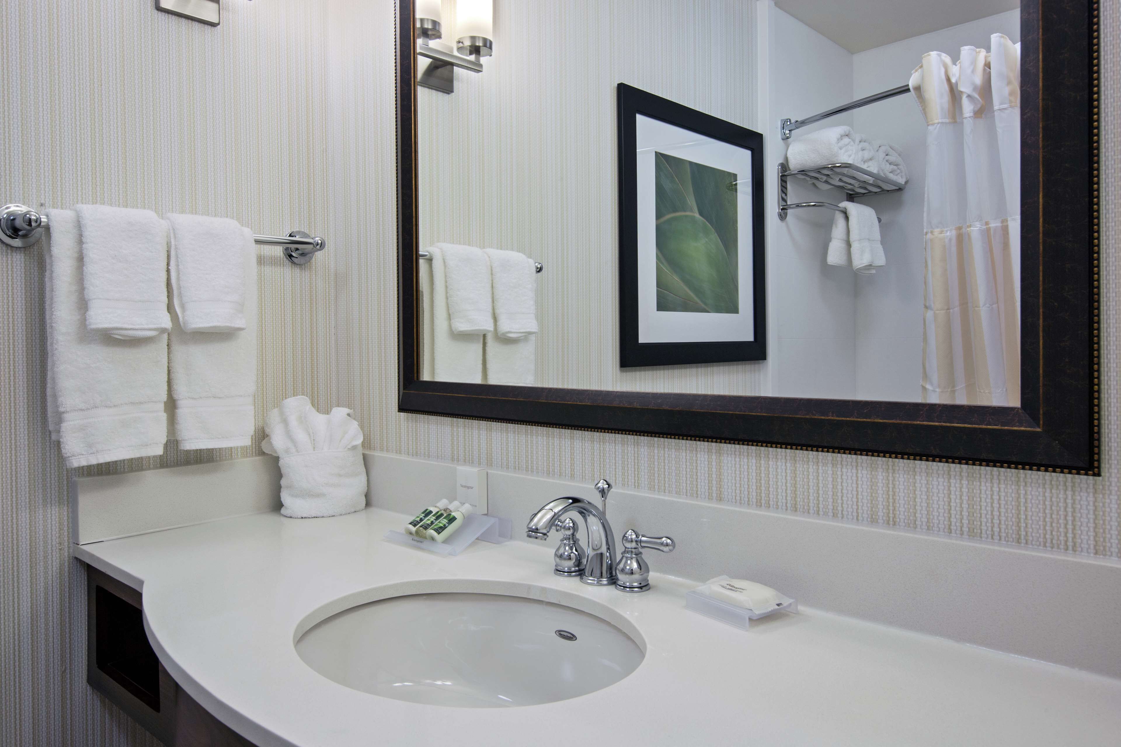 standard room, 2 queen beds, non smoking | bathroom | shower, hydromassage showerhead, free toiletries, bathrobes