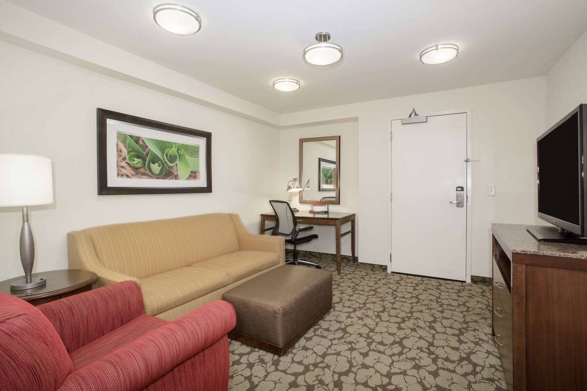 Habitación de hotel con un sofá color beige, un sillón rojo, una mesita de noche con una lámpara, un escritorio con una silla, un televisor y una alfombra estampada.