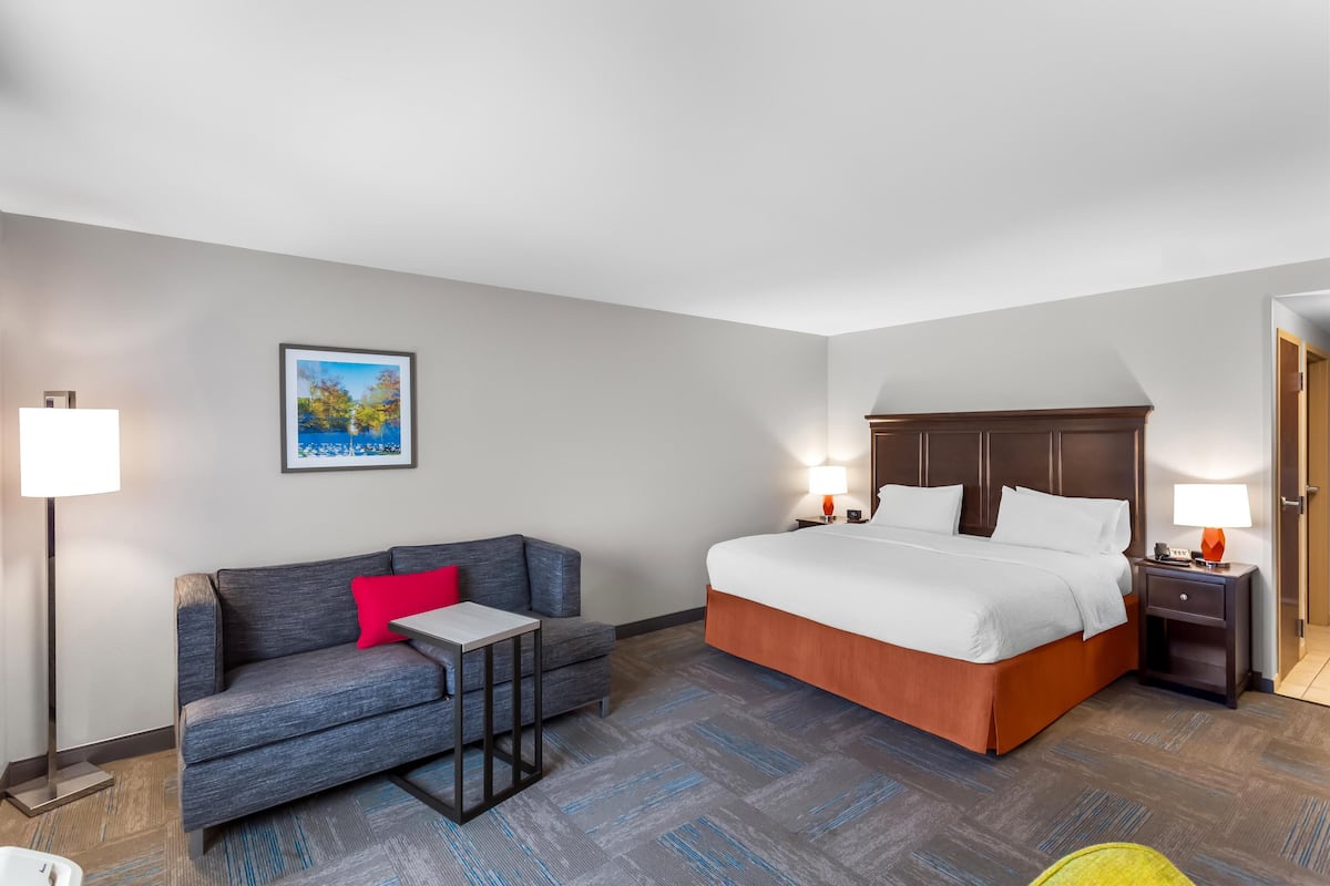 Habitación estándar, 1 cama King size y sofá cama | Área de sala de estar | Televisión LCD de 32 pulgadas con canales por cable y televisión