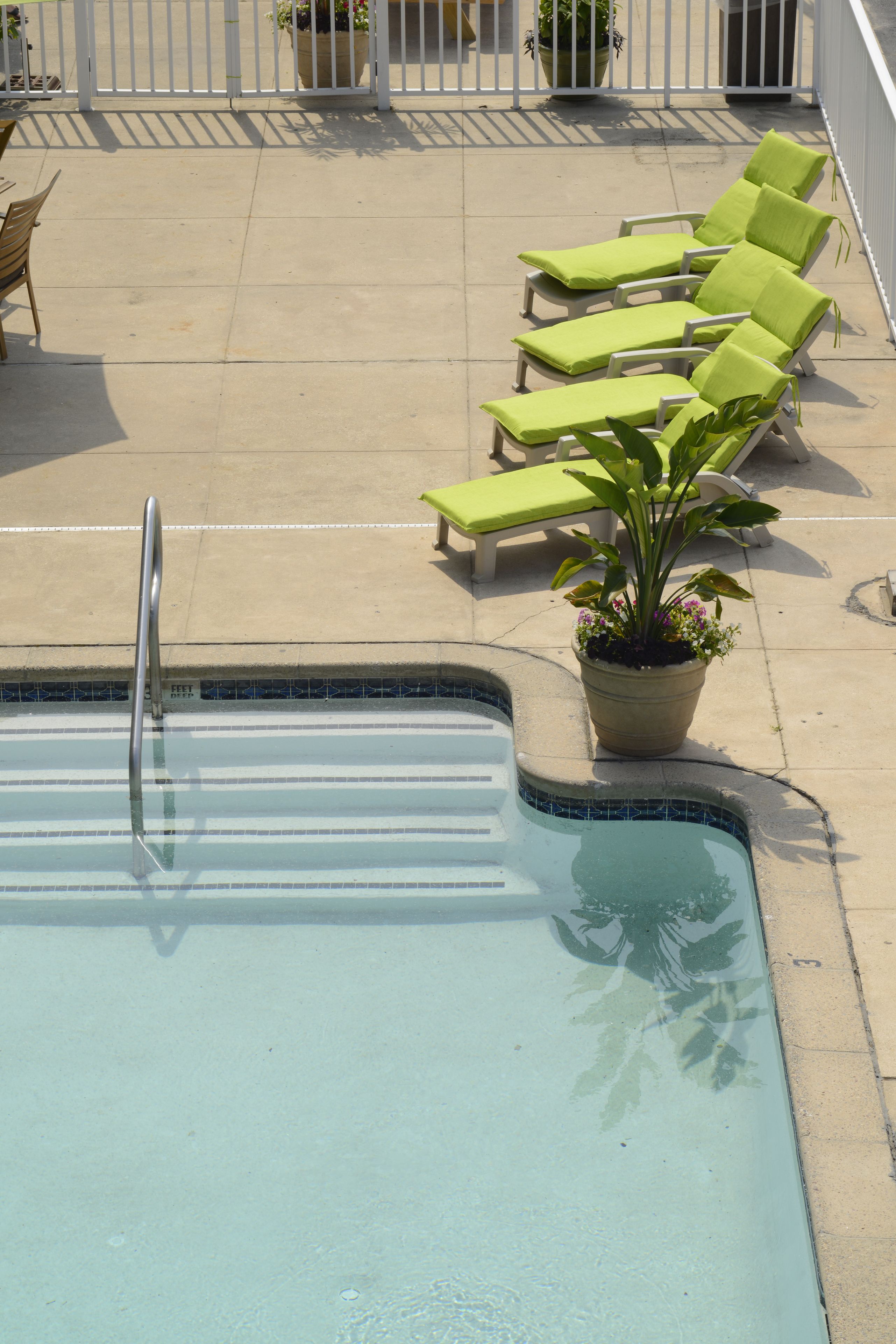 Ein Pool mit einer Metallleiter, umgeben von grünen Liegestühlen und einer Topfpflanze.