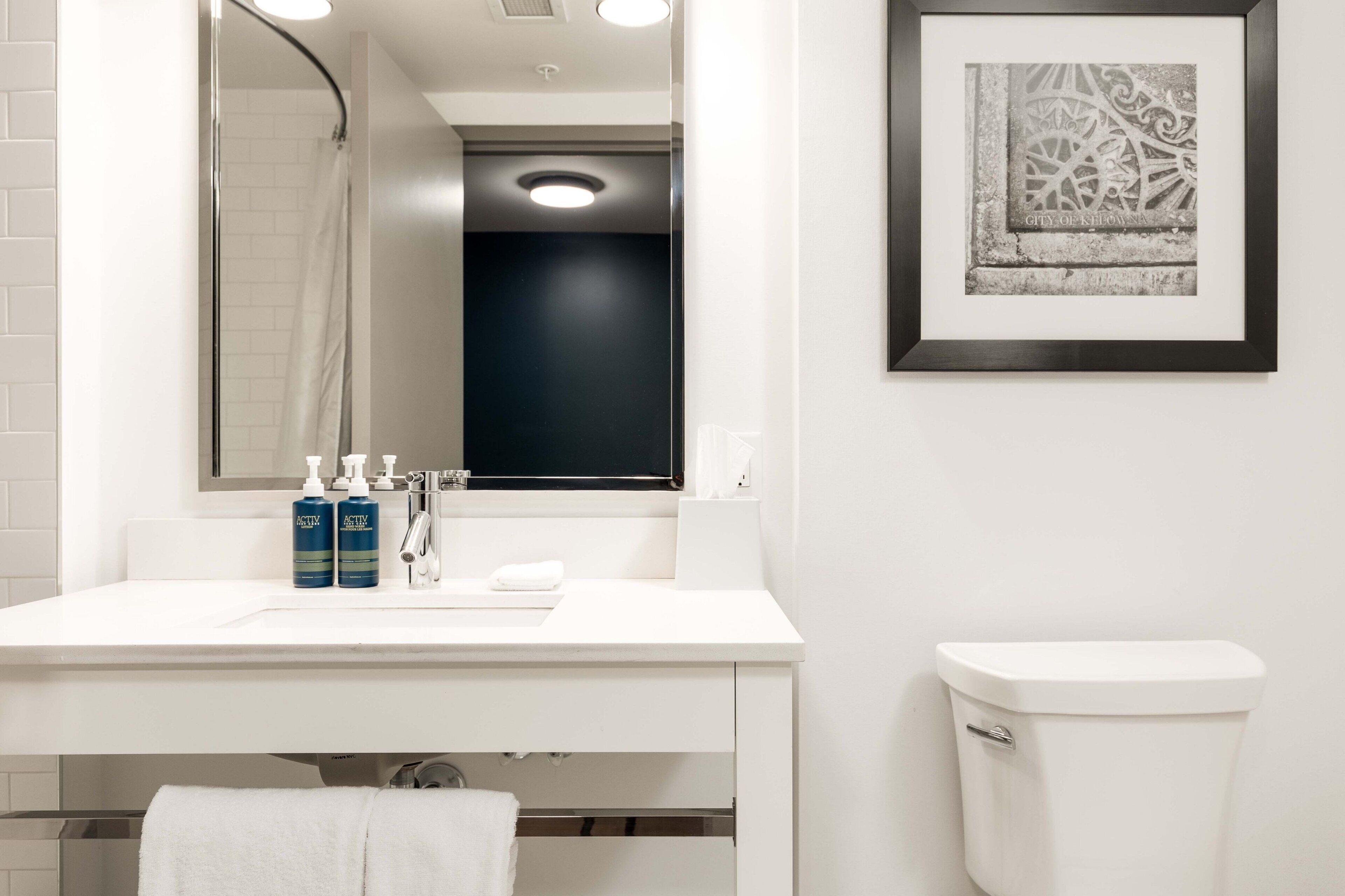 Une salle de bain avec un lavabo blanc, deux bouteilles de savon ACTIV, des toilettes blanches et un tableau encadré au mur.