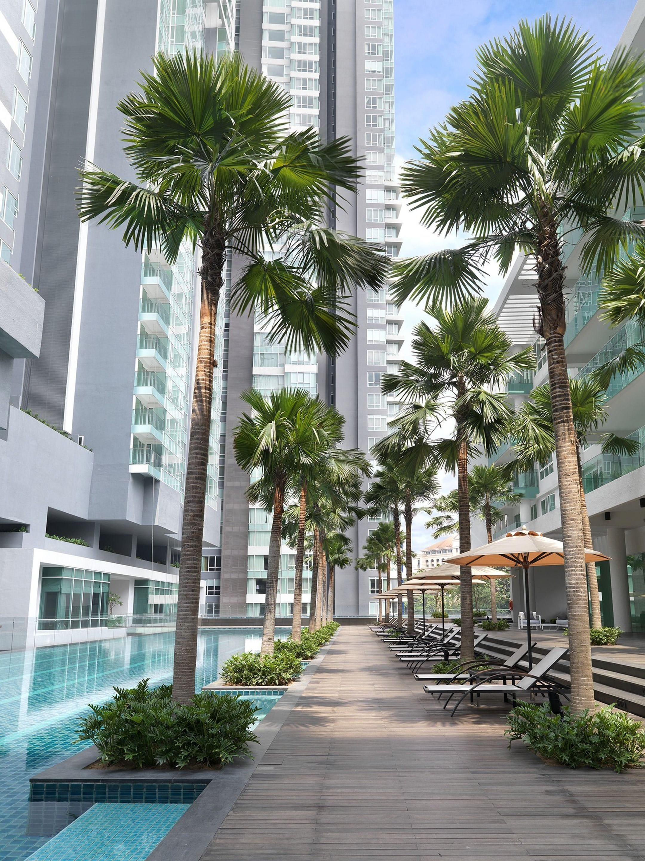 outdoor pool, pool loungers