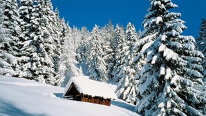 Ein mit Schnee bedecktes Waldhäuschen.
