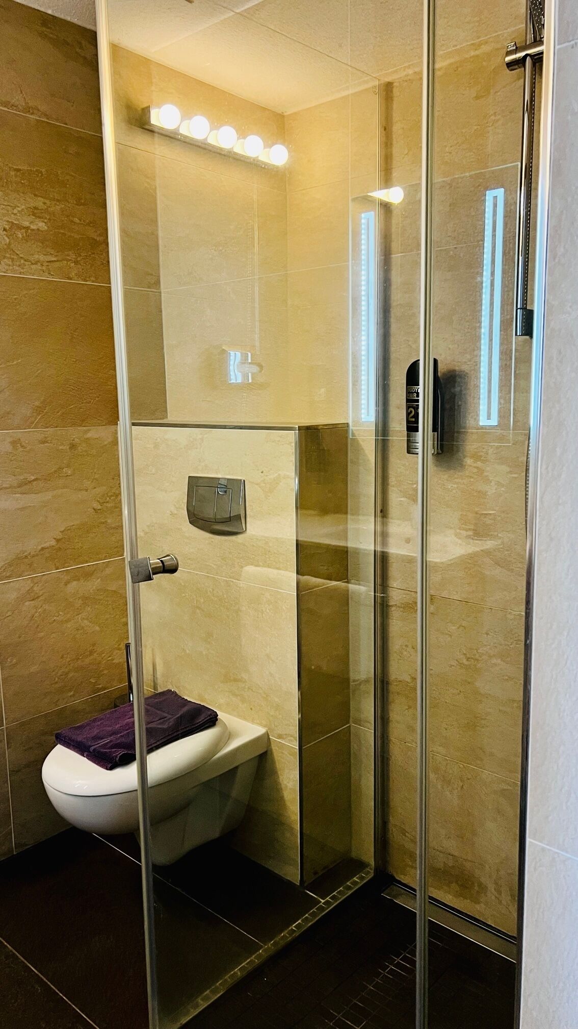 Ein modernes Badezimmer mit einer Glasdusche, einer Toilette und einem Handtuchhalter.