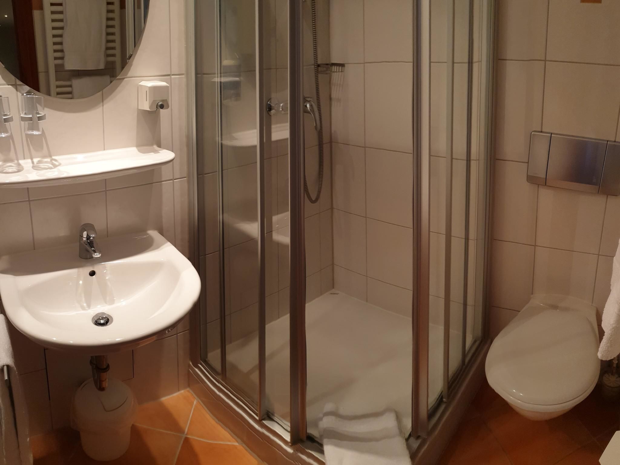 standard double room, private bathroom | bathroom | shower, free toiletries, towels