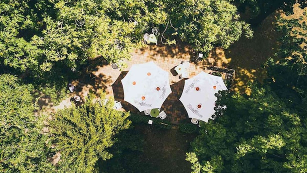 Vista aérea de un campamento con dos tiendas de campaña rodeadas de abundante vegetación.