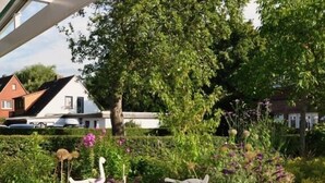 A garden with various plants and a decorative pond. - Hotel Restaurant Witthus (Krummhoern)