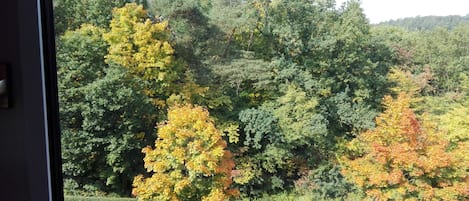Appartement (Kurparkblick) | Vue de la chambre