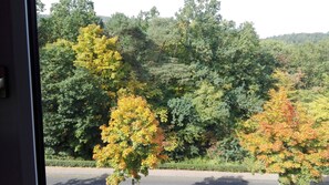 Apartment (Kurparkblick) | View from room