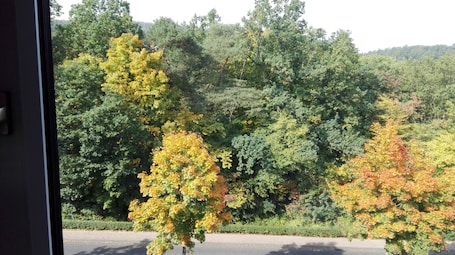 Apartment (Kurparkblick) | View from room