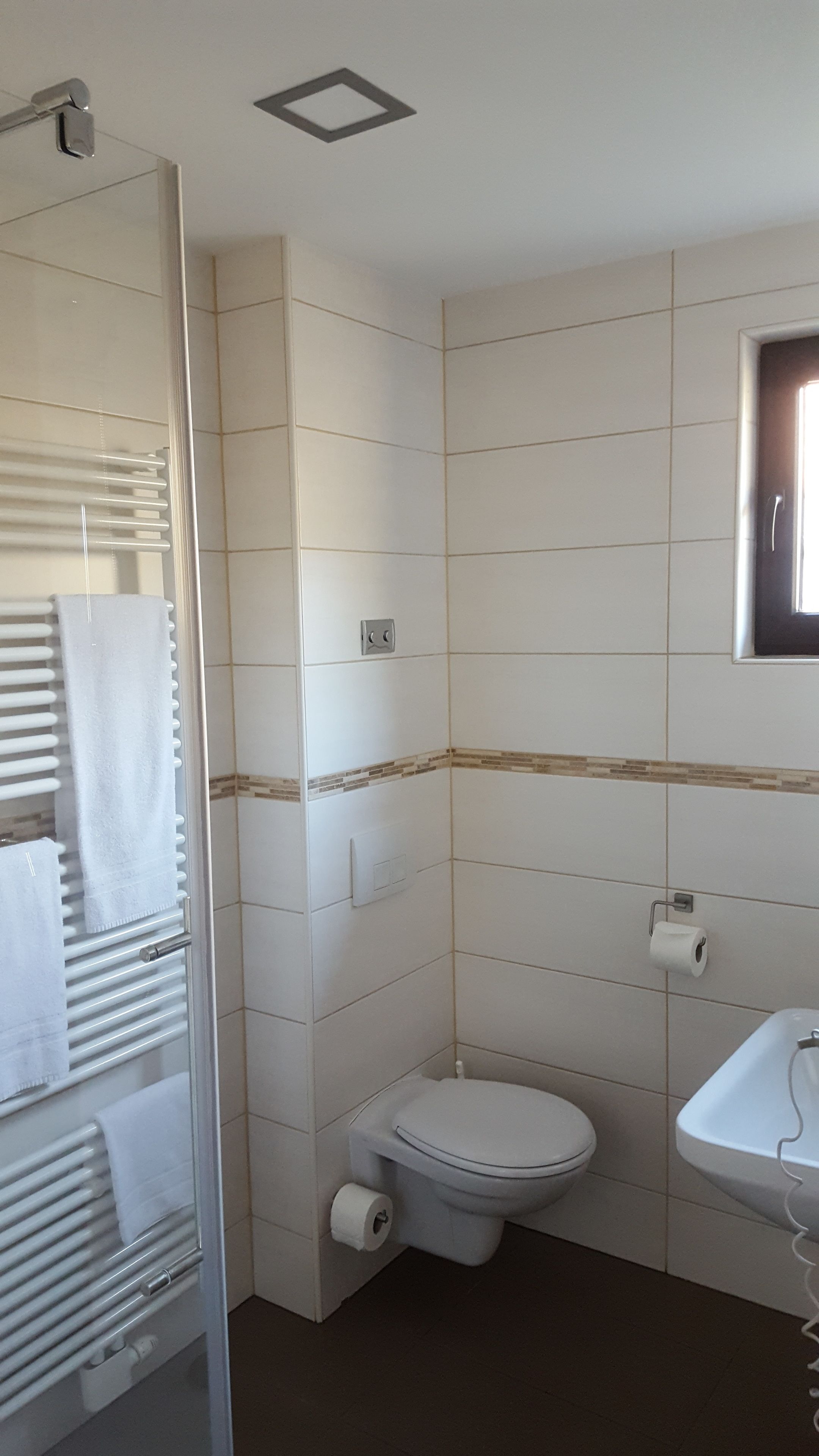 Een badkamer met toilet, wastafel en een douchecabine met glazen wanden.