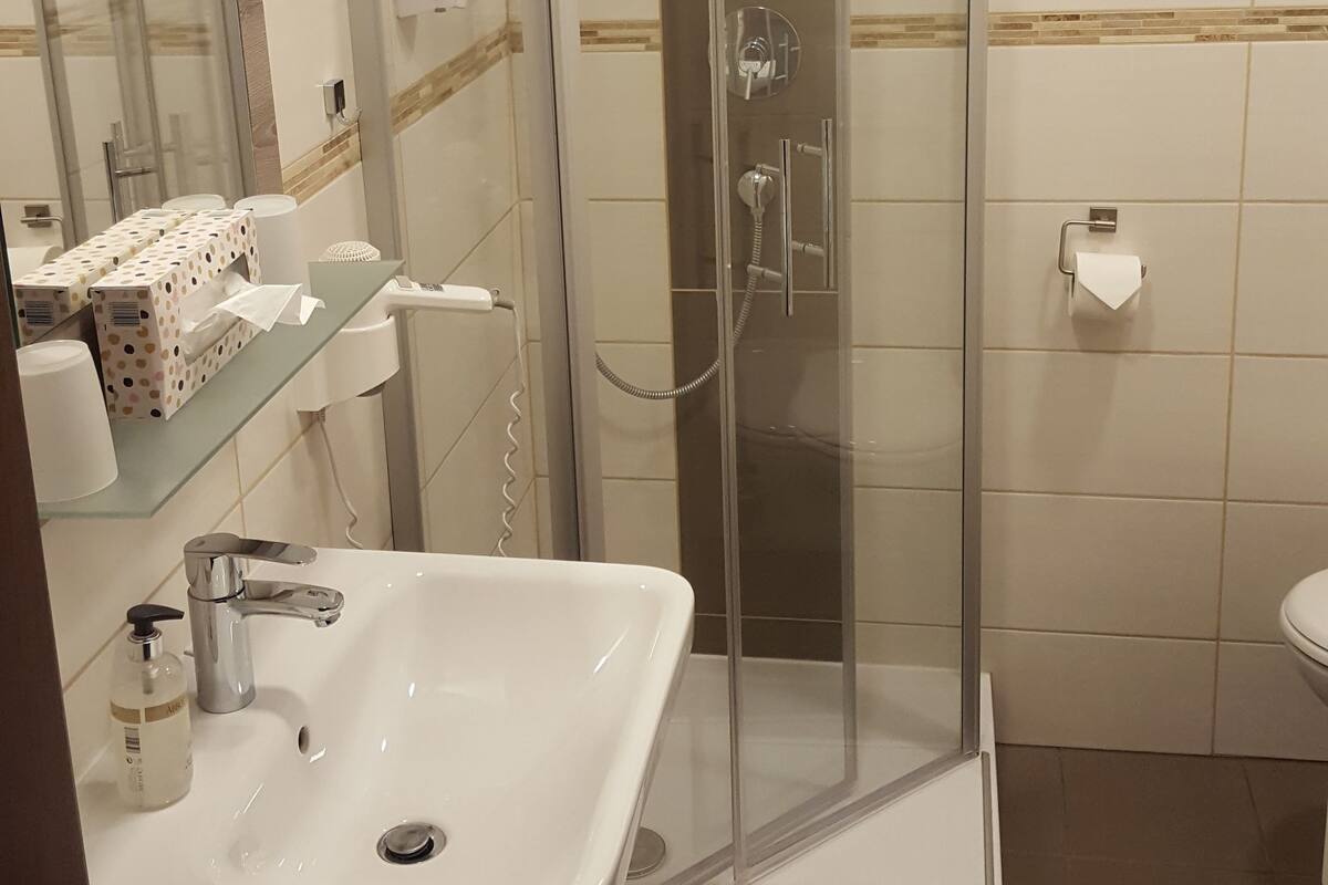 A modern bathroom with a glass-enclosed shower, a white sink, and a mirror.