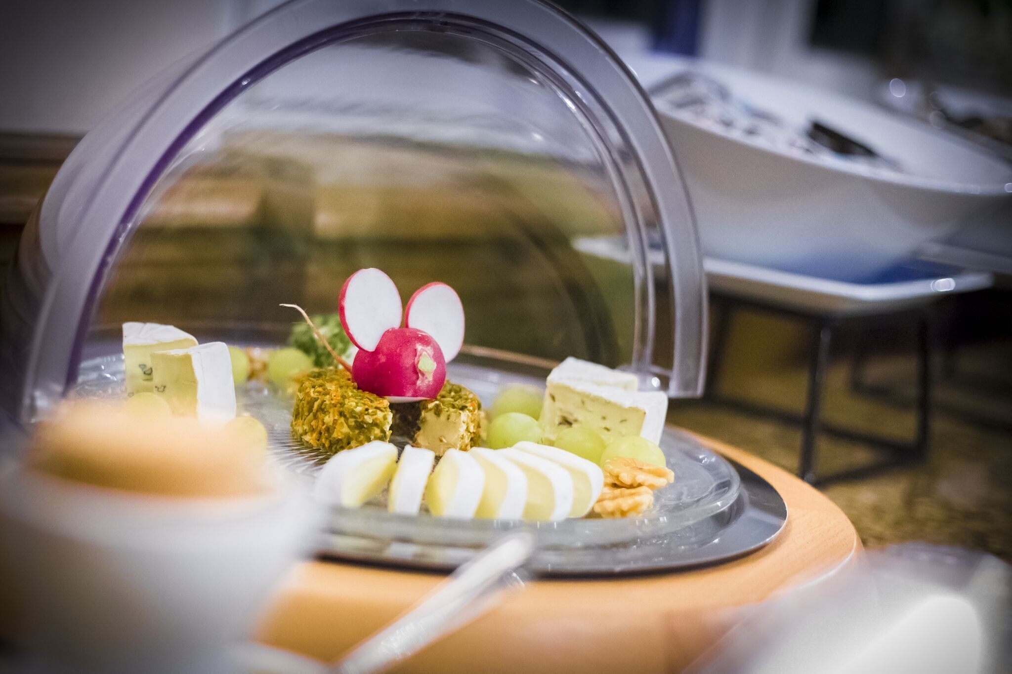 daily buffet breakfast (eur 10.00 per person)