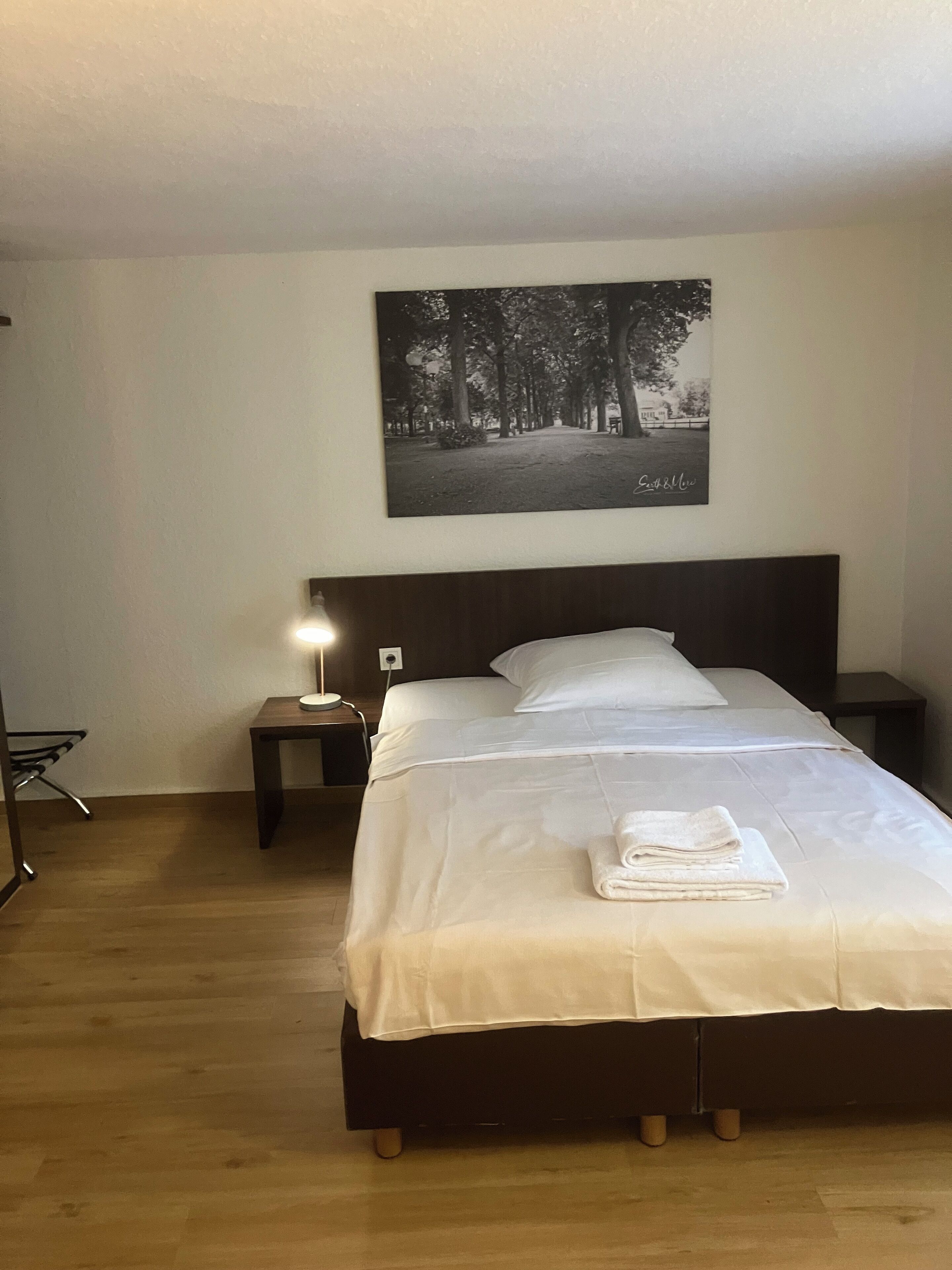 standard single room, 1 single bed | desk, blackout curtains, iron/ironing board, free wifi