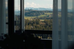 Vistas desde la habitación