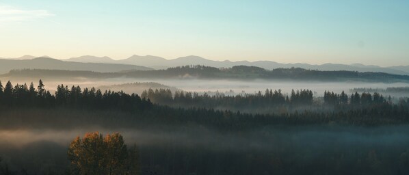 Un paysage boisé, avec une chaîne de montagnes en arrière-plan et un arbre au premier plan.