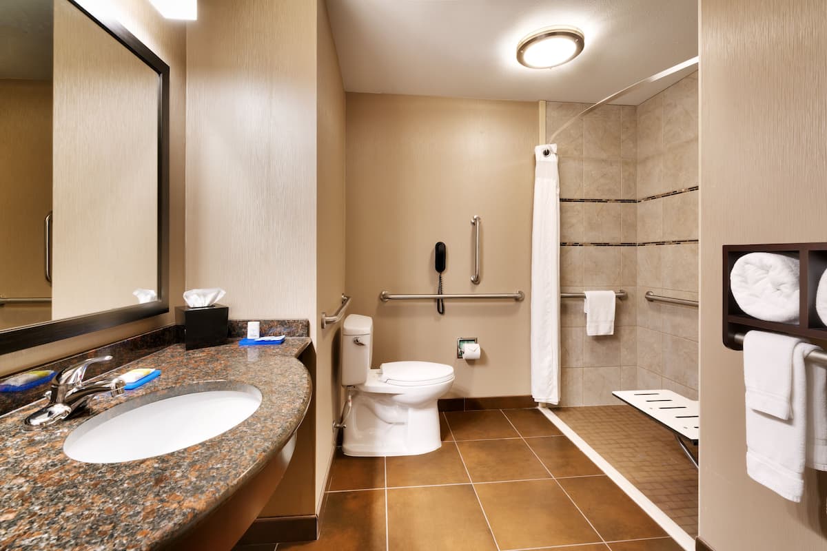 standard room, 1 king bed, mobility accessible (roll-in shower) | 1 bedroom, desk, blackout curtains, iron/ironing board