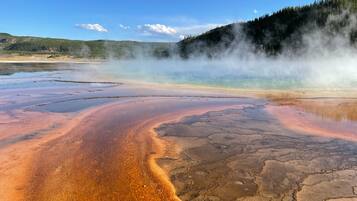 A geothermal area with mineral deposits and steam rising from the ground.