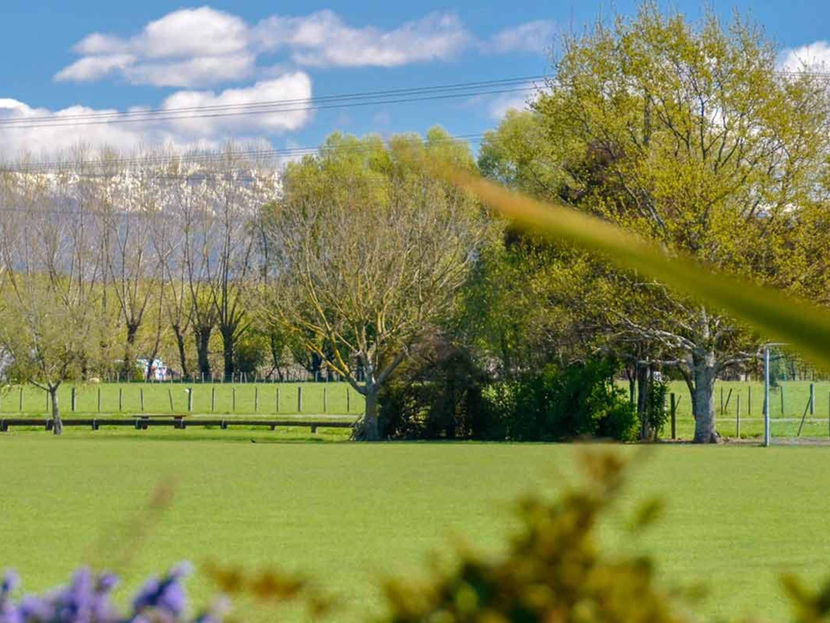 A park with green grass, trees, and a fence.