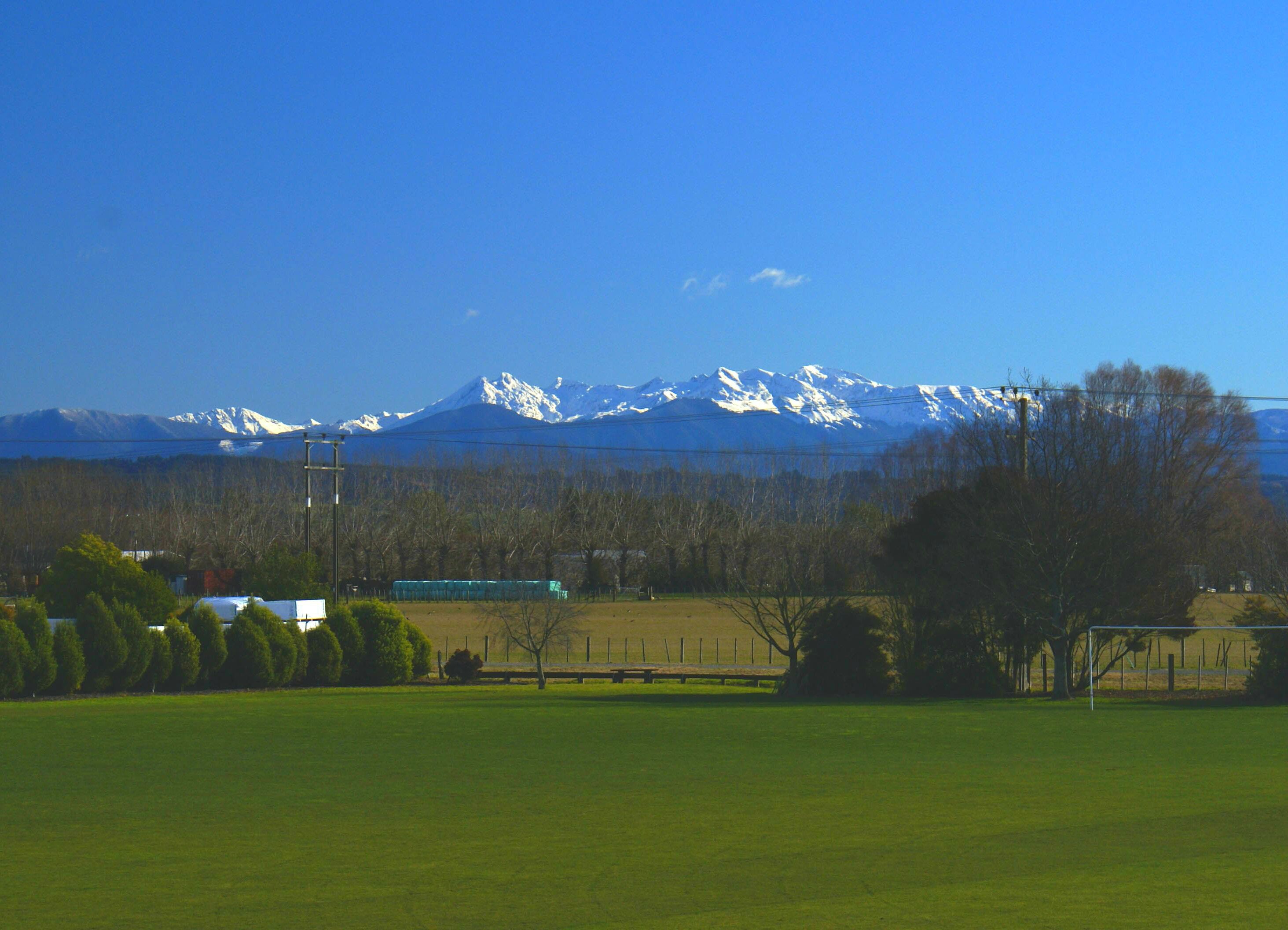A grassy field with a mountain range in the background.