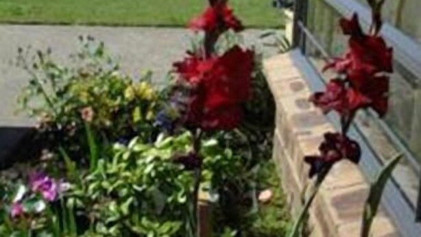 Unclassified image, 1 of 17, button - Ohuka Place Homestay (Whitianga)