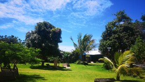 A lush garden with a variety of trees and a clear blue sky. - Hostal Pukao (Hanga Roa)