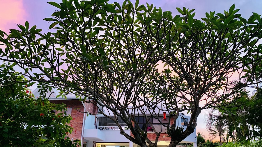 Hotel Casa De Las Flores