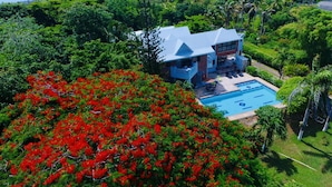 A house with a swimming pool surrounded by lush greenery and red flowering trees. - Hotel Casa De Las Flores (San Andrés)
