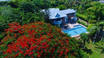 House | Property grounds