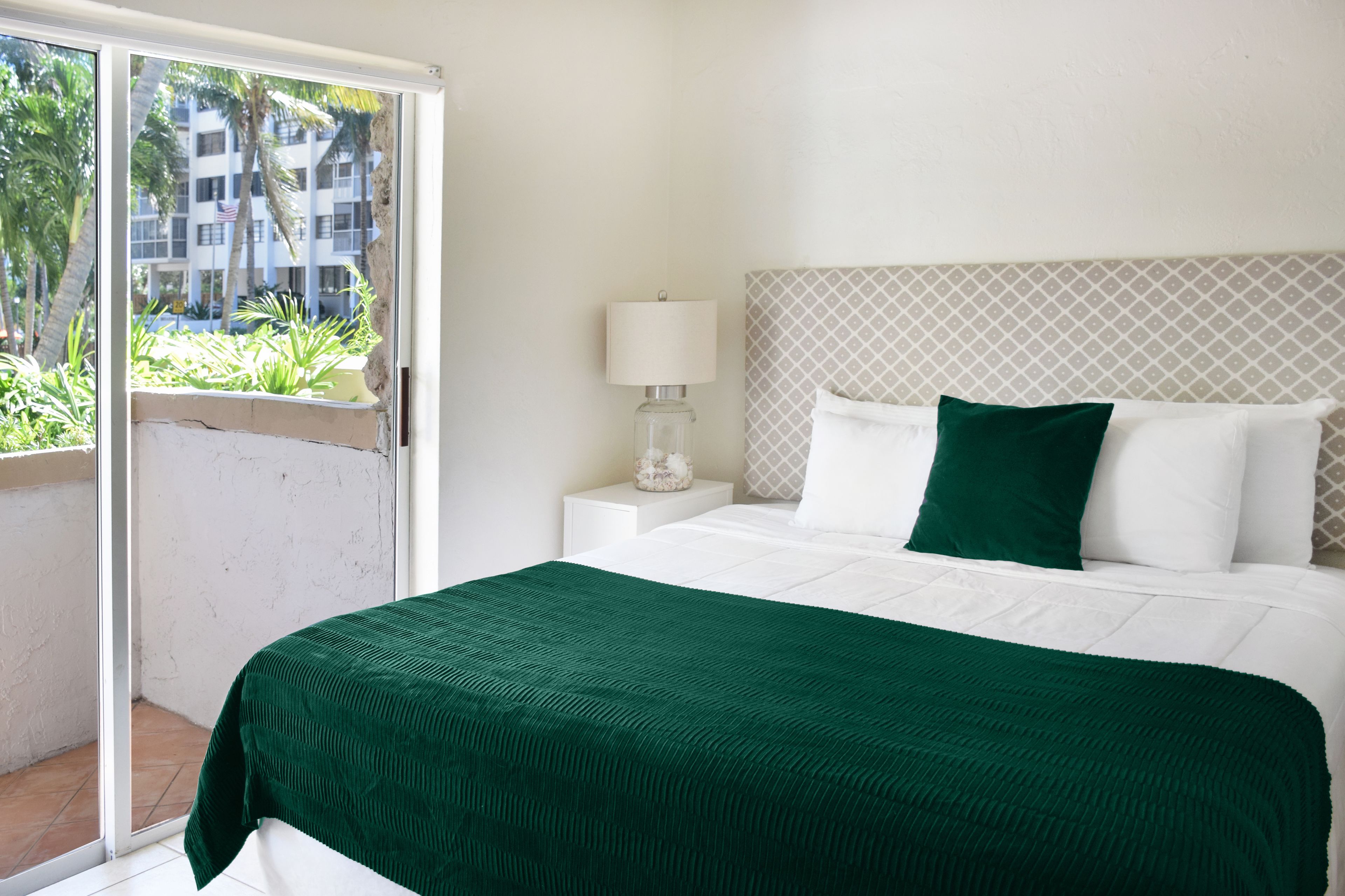 Photo - Coral Reef at Key Biscayne