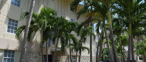 Un edificio de fachada de piedra, con varias ventanas y palmeras al frente.