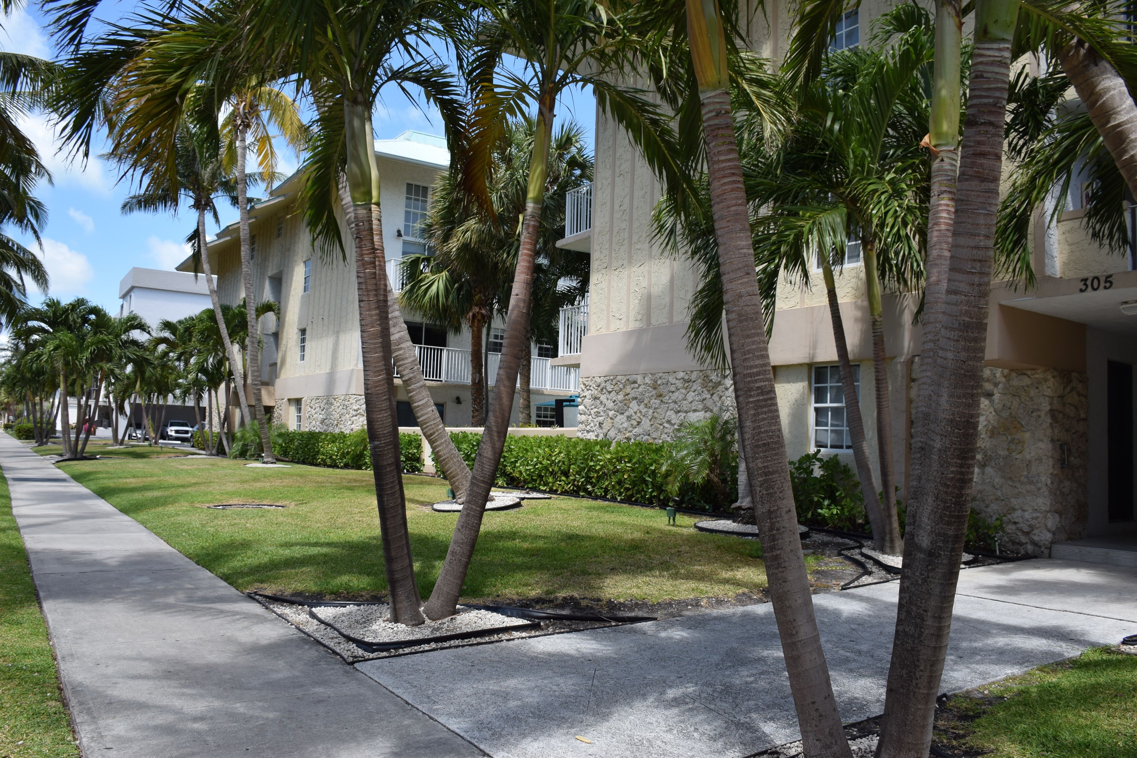 Photo - Coral Reef at Key Biscayne