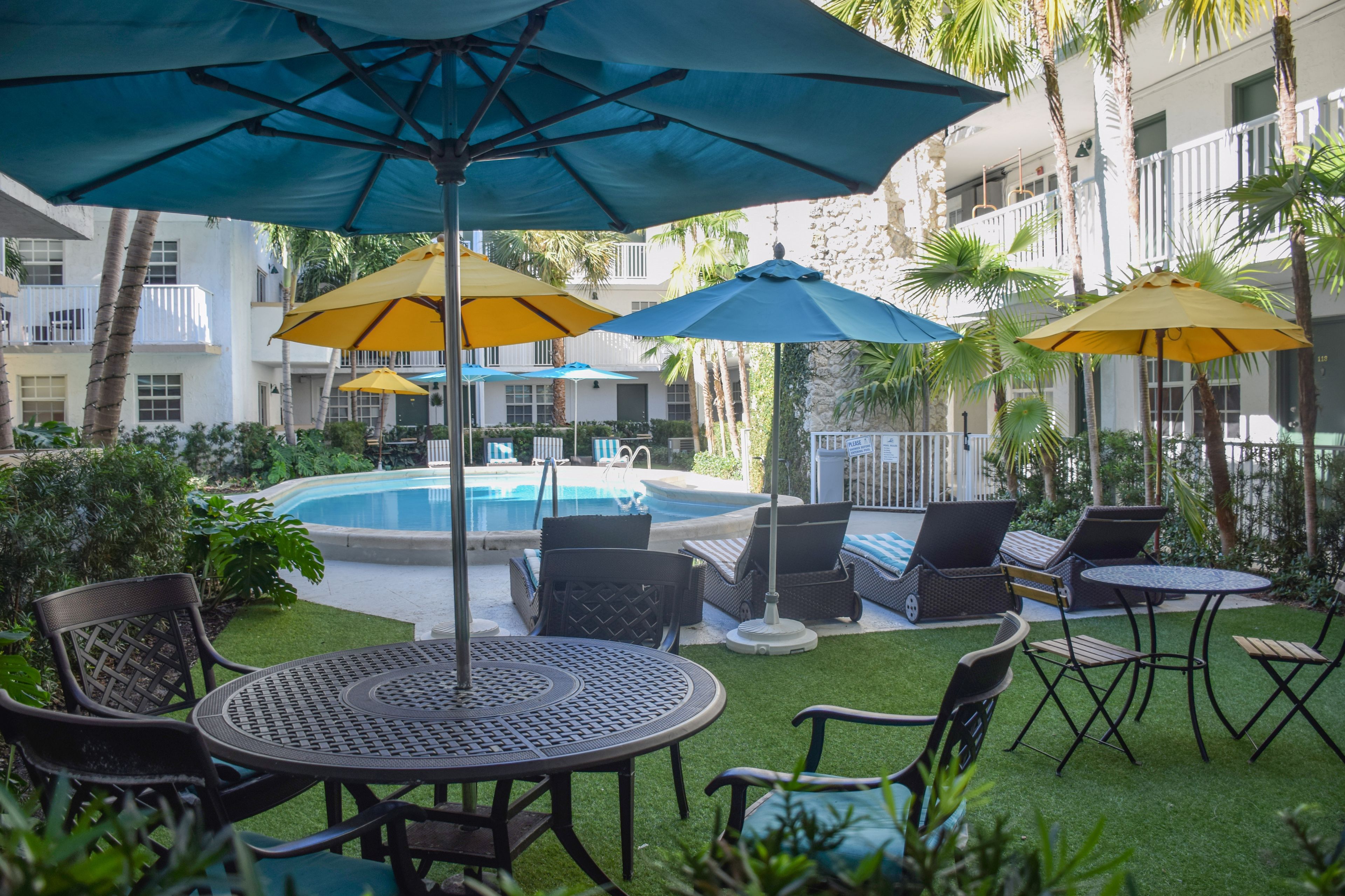 Outdoor pool, sun loungers