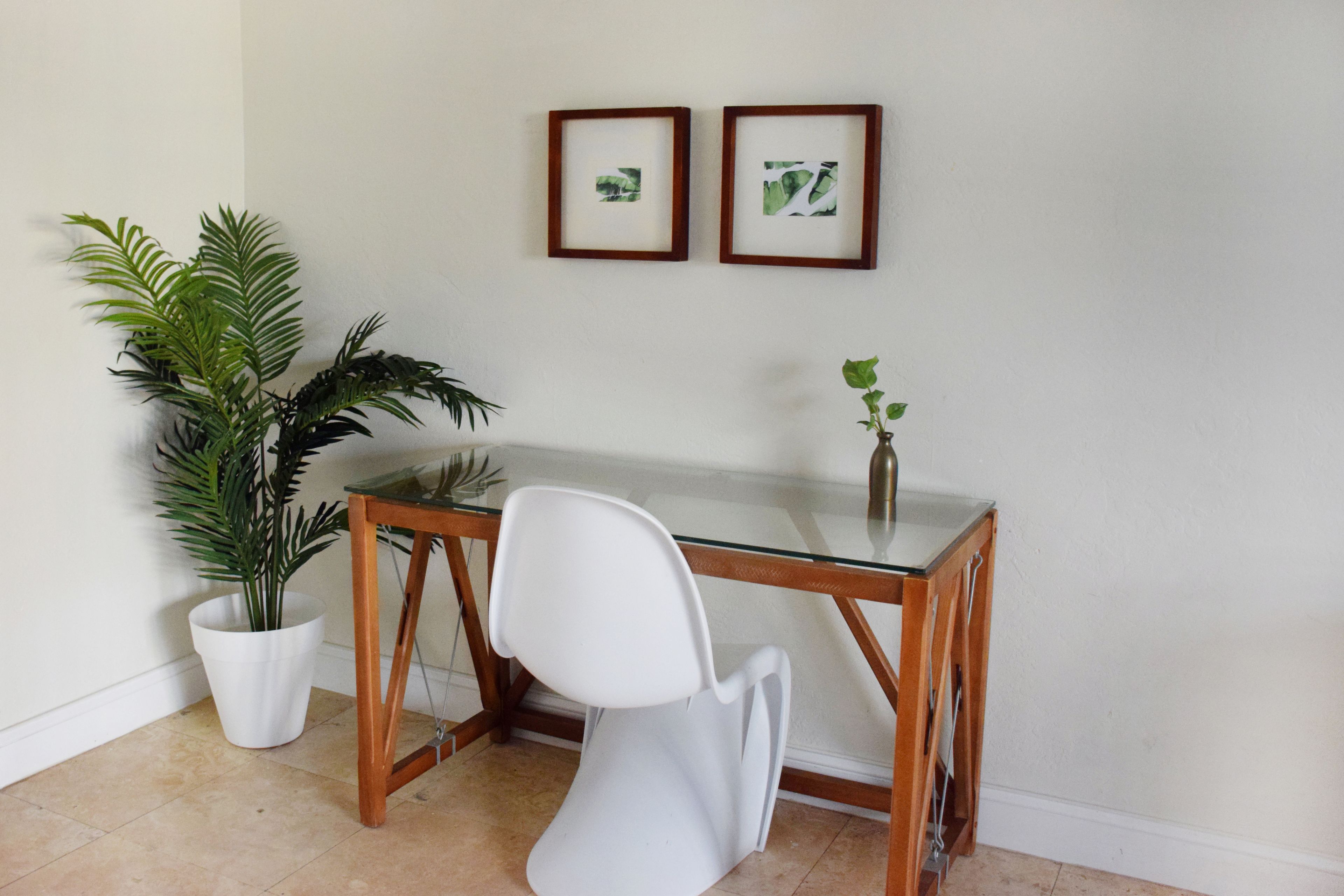 Photo - Coral Reef at Key Biscayne