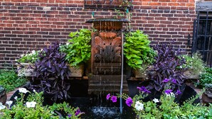 A brick wall with a water feature in the center, surrounded by various plants and flowers. - Moroccan Boutique Guest House (Boston)