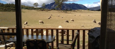 Four Bedroom Cottage | View from room