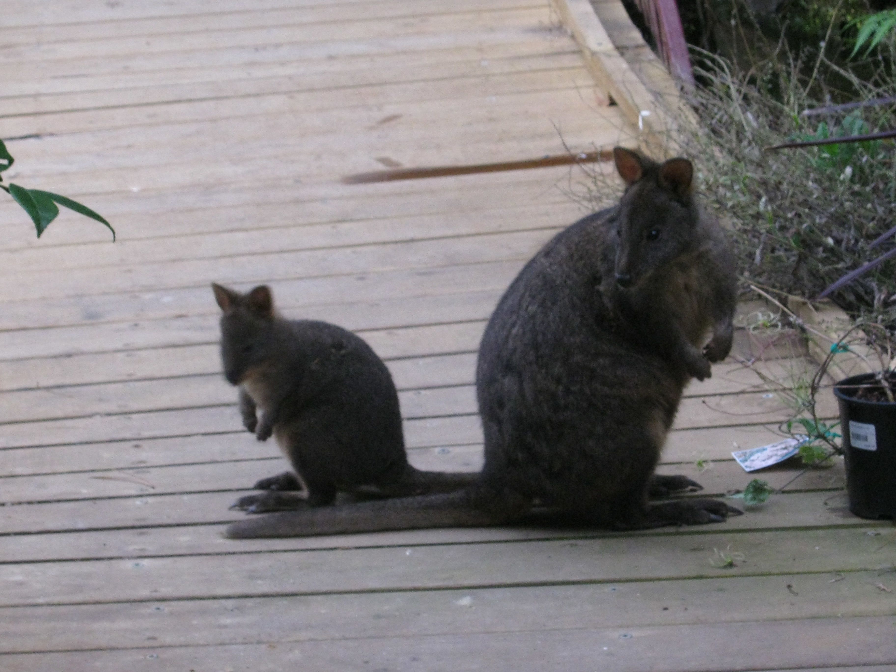 AAA Granary Accommodation — image 30