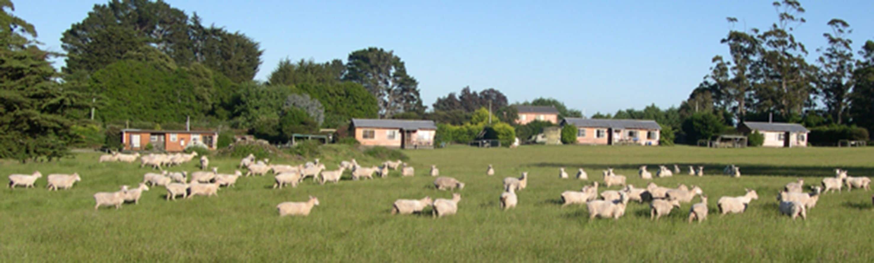 AAA Granary Accommodation — image 19