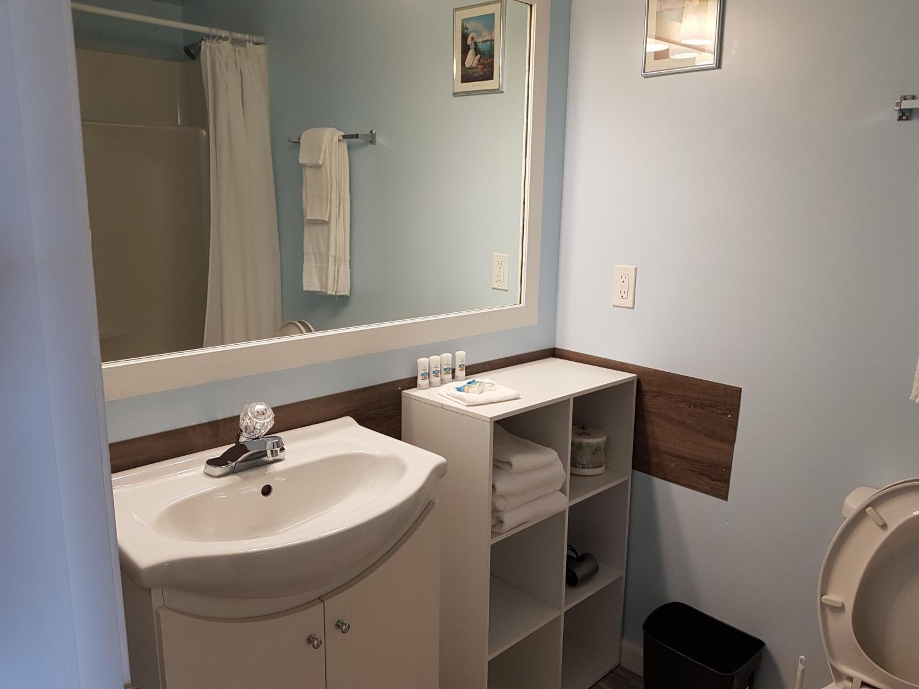 Tina con regadera, amenidades de baño gratuitas, toallas 