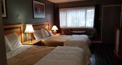 Metro Inn