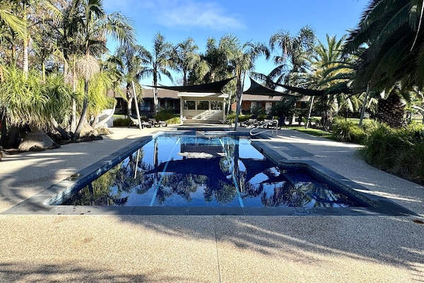 Outdoor pool, sun loungers